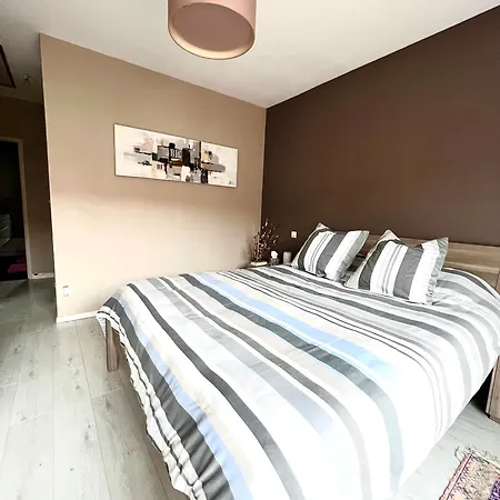 Maison A 5 Minutes Des 24h Du Mans 阿纳齐