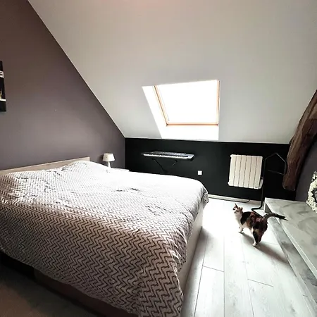 Maison A 5 Minutes Des 24h Du Mans * 阿纳齐