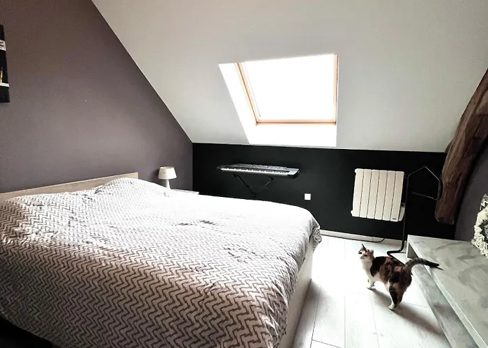 Maison à 5 Minutes Des 24h Du Mans * Arnage